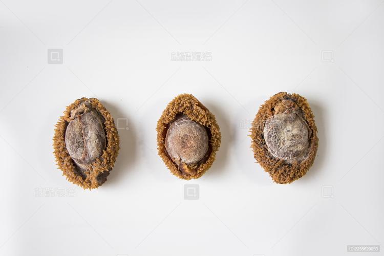 當鮑魚遇見快干錘紋漆 一場關于時間與工業的迷思